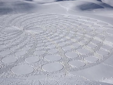 אמנות השלג באלפים (תמונת AVI: odditicentral.com)