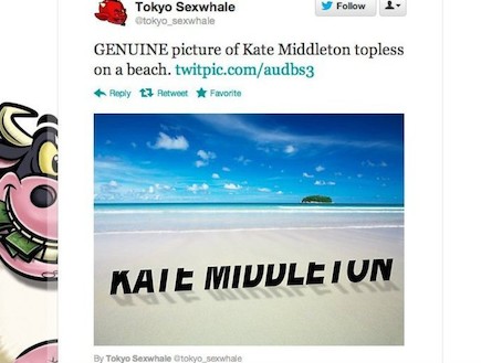 תמונות בלעדיות: קייט מידלטון טופלס על החוף (צילום: twitter)