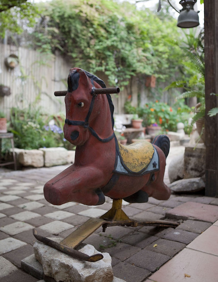 נדנדת סוס (צילום: הגר דופלט)