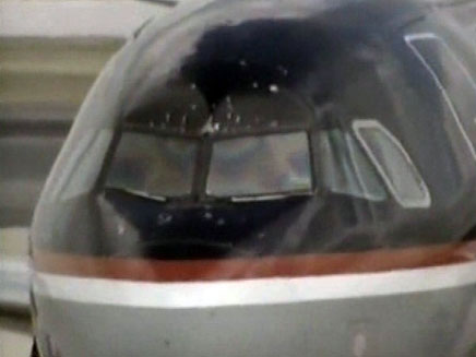 המטוס שביצע נחיתת חירום (צילום: חדשות 2)