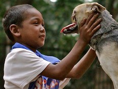 קבאנג הכלבה חצוית הפנים (צילום: sfgate.com)