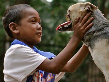 קבאנג הכלבה חצוית הפנים (צילום: sfgate.com)