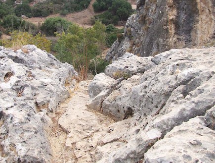 המסלול הגיאולוגי בכרמל 2 (צילום: איל שפירא)