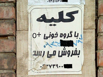 מודעה למכירות כליות ברחוב באירן (צילום: חדשות 2)