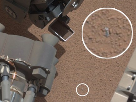 משהו בוהק על מאדים (צילום: nasa.gov)