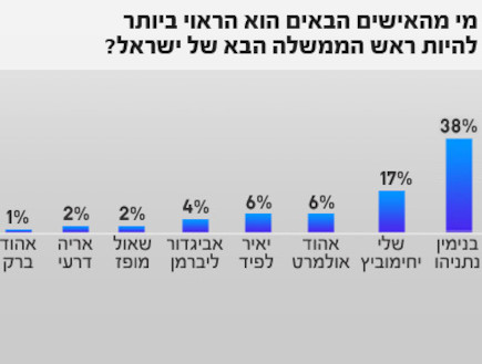 סקר פאנלס פוליטיקס בחירות 2013