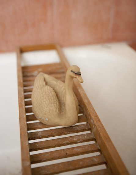 ברווז באמבטיה (צילום: עדו לביא)