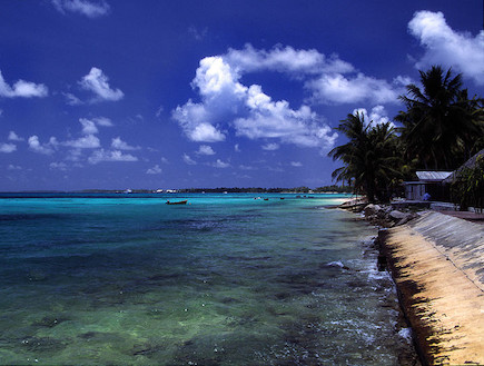 חוף בטובאלו (צילום:  ויקיפדיה)
