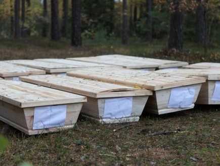 ארונות קבורה שנגנבו בטעות (צילום: wiadomosci.gazeta.pl)