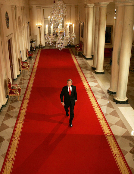 שטיח אדום (צילום: Win McNamee, GettyImages IL)