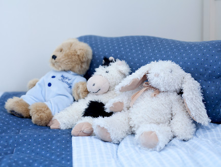 דובים על מיטה (צילום: בועז לביא)