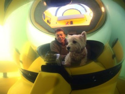 מולי הכלבה הצוללנית (צילום: metro.co.uk)