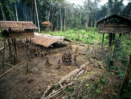בתי העץ של שבט הקורוואי (צילום: amusingplanet.com)