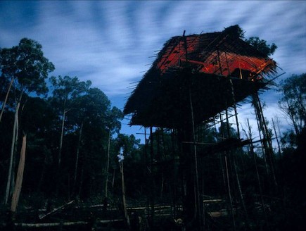בתי העץ של שבט הקורוואי (צילום: amusingplanet.com)