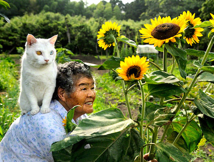 החברות המקסימה של הסבתא והחתולה (צילום: buzzfeed.com)