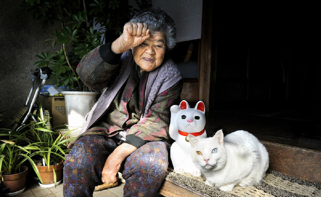 החברות המקסימה של הסבתא והחתולה (צילום: buzzfeed.com)