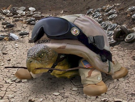 חיות צבאיות (צילום: freakingnews.com)