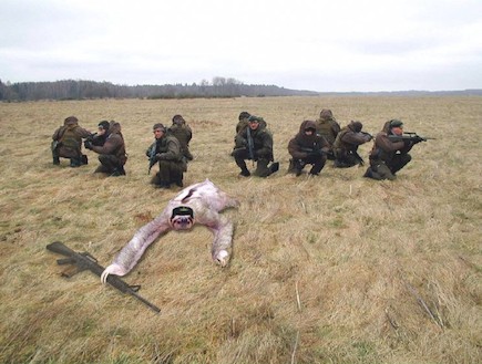 חיות צבאיות (צילום: freakingnews.com)
