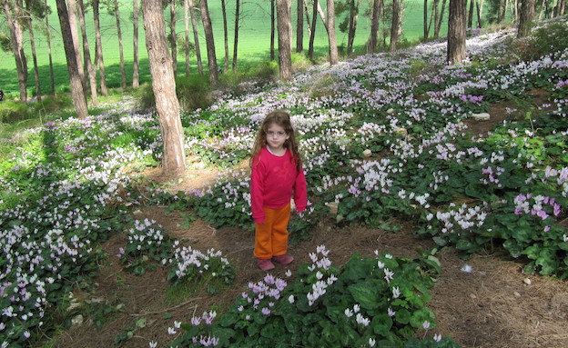 המקום הקסום של יהודית אזוט