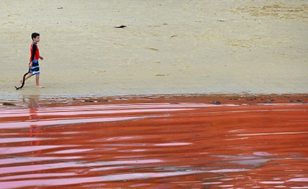 מי הים הפכו לאדומים (צילום: צילום מסך daily mail)