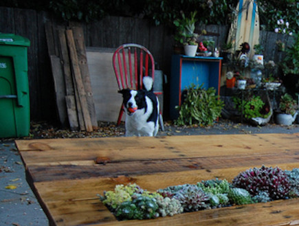 שולחן עציץ (צילום: www.faroutflora.com20110604diy-succulent-pallet-table)