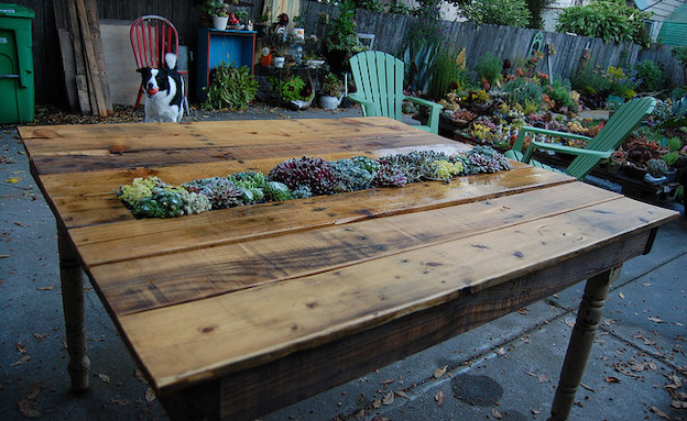 שולחן עציץ (צילום: www.faroutflora.com20110604diy-succulent-pallet-table)