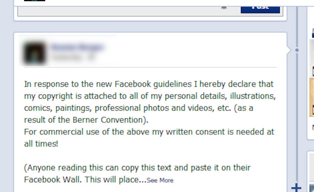 "הצהרת פרטיות " בפייסבוק (צילום:  Photo by Flash90)