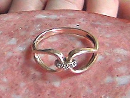 טבעת יהלום בנקניק (צילום: austriantimes.at)