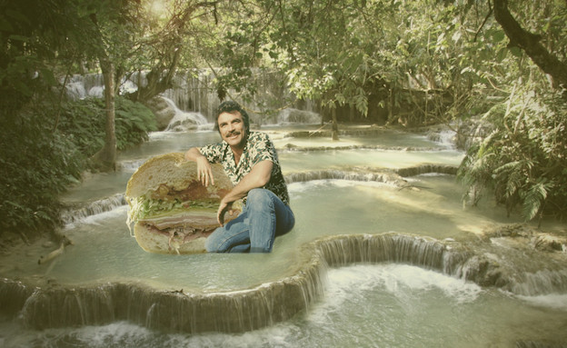 כתבת בלוגים