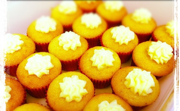 מקום 3- adic1230