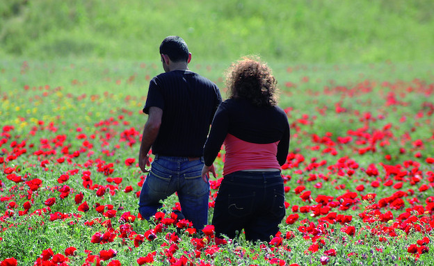 תכנית רעים. החברה למתנסים (צילום: איתן מאי)