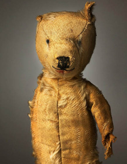 דובי מחמד מפחידים (צילום: petapixel.com)