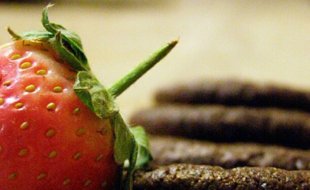 מקום 2- rotemreches