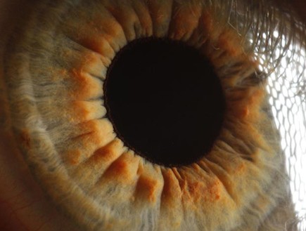 תקריבי עיניים מטורפים (צילום: thesun.co.uk)