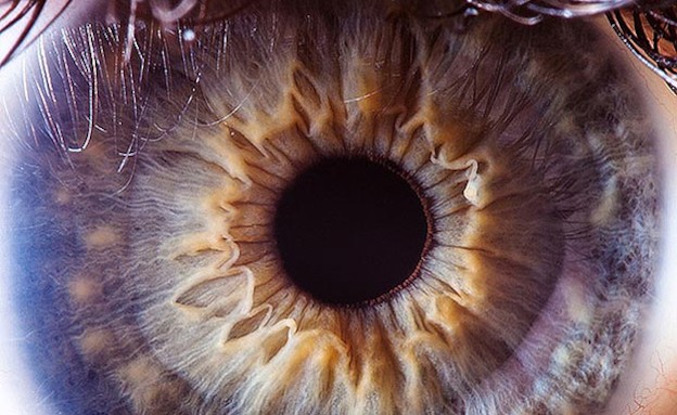 תקריבי עיניים מטורפים (צילום: thesun.co.uk)