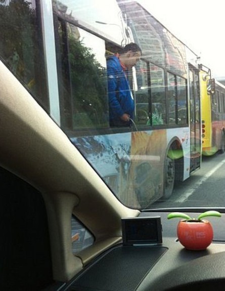 סיני משתין מהאוטובוס (צילום: austriantimes.at)