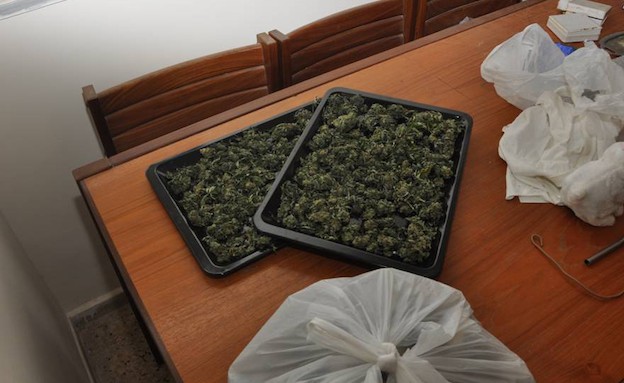 מעבדה לגידול מריחואנה באילת (צילום: משטרת מרחב אילת)