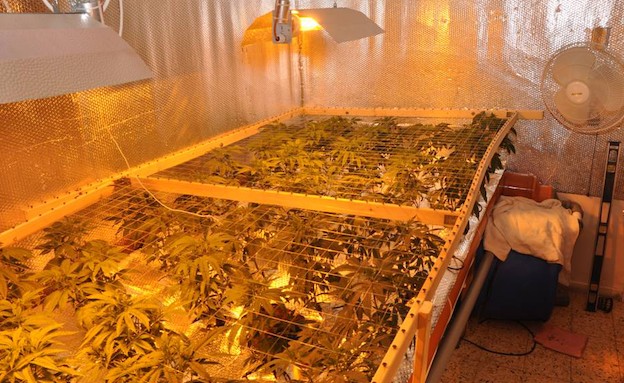 מעבדה לגידול מריחואנה באילת (צילום: משטרת מרחב אילת)