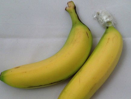 בננות עם כיסוי פלסטיק (צילום: gizmodo.com)