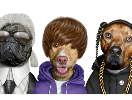 לוח שנה חיות לוח שנה חיות