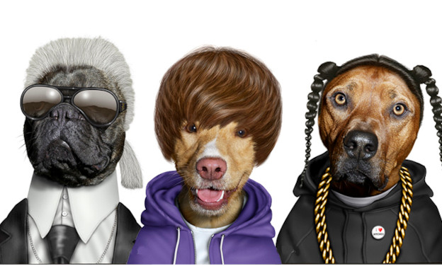 לוח שנה חיות