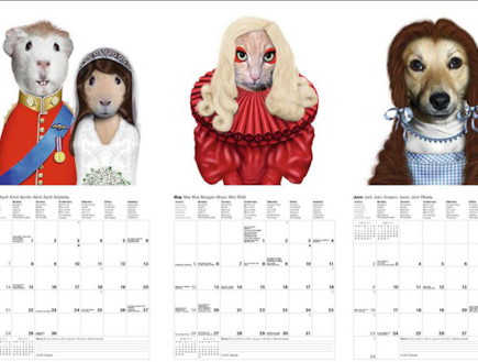 לוח שנה חיות לוח שנה חיות