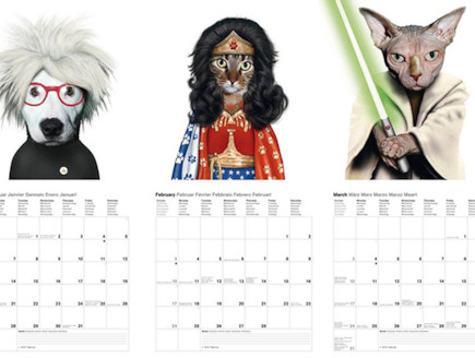 לוח שנה חיות לוח שנה חיות