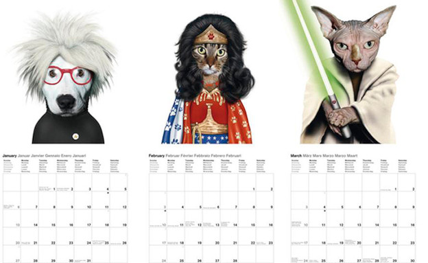 לוח שנה חיות