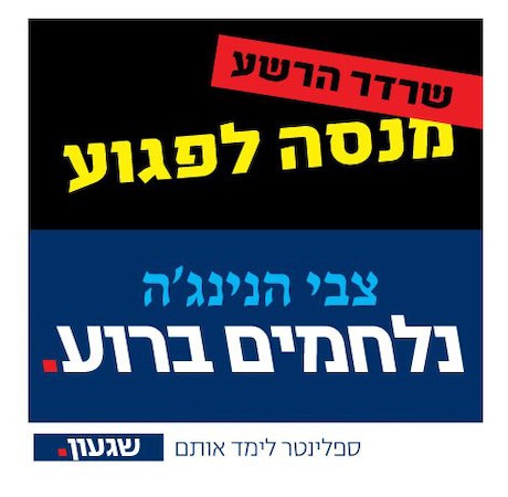 צבי הנינג'ה