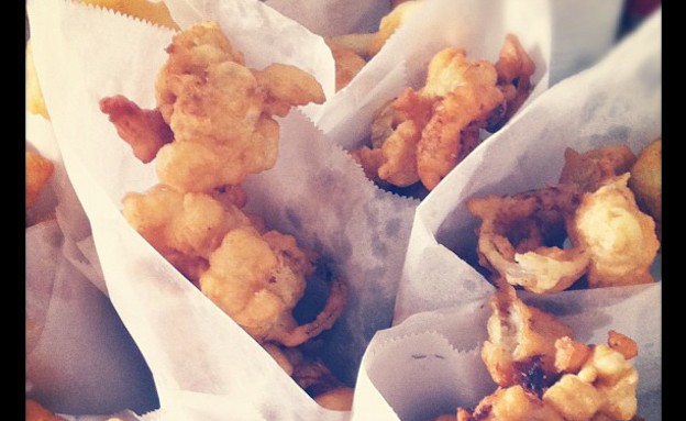 מקום שלישי - cpintoc