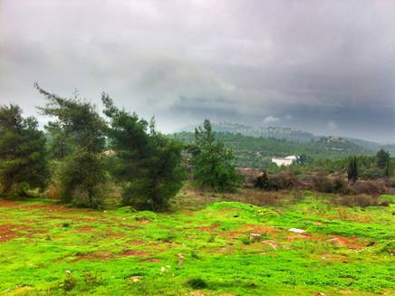 שמיים קודרים בהרי ירושלים (צילום: גיא צברי)