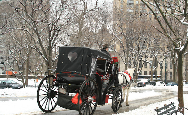 שלג בסנטרך פארק ניו יורק