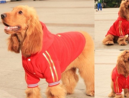 כלבים באדום (צילום: product.madeinchina.com)