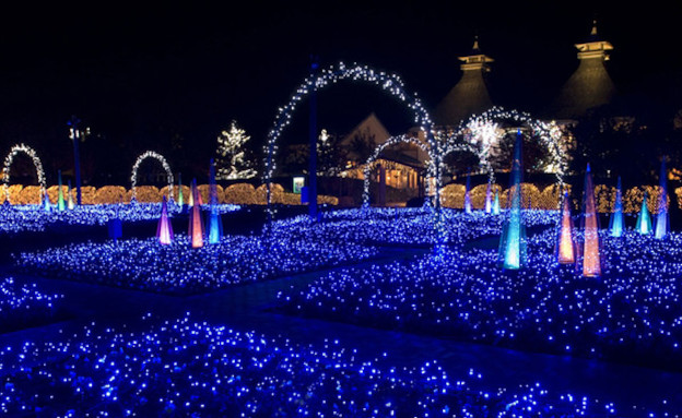 תערוכת האורות ביפן (צילום: travel.cnn.com)